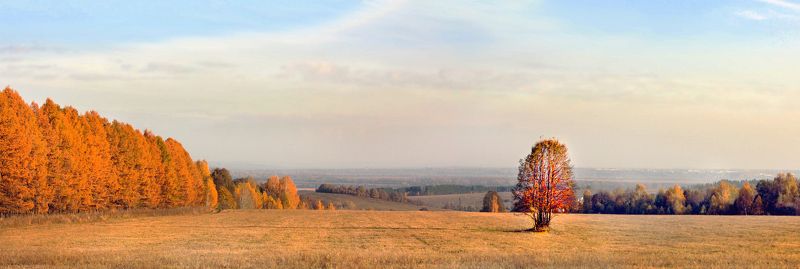 Панорама осени фото превью