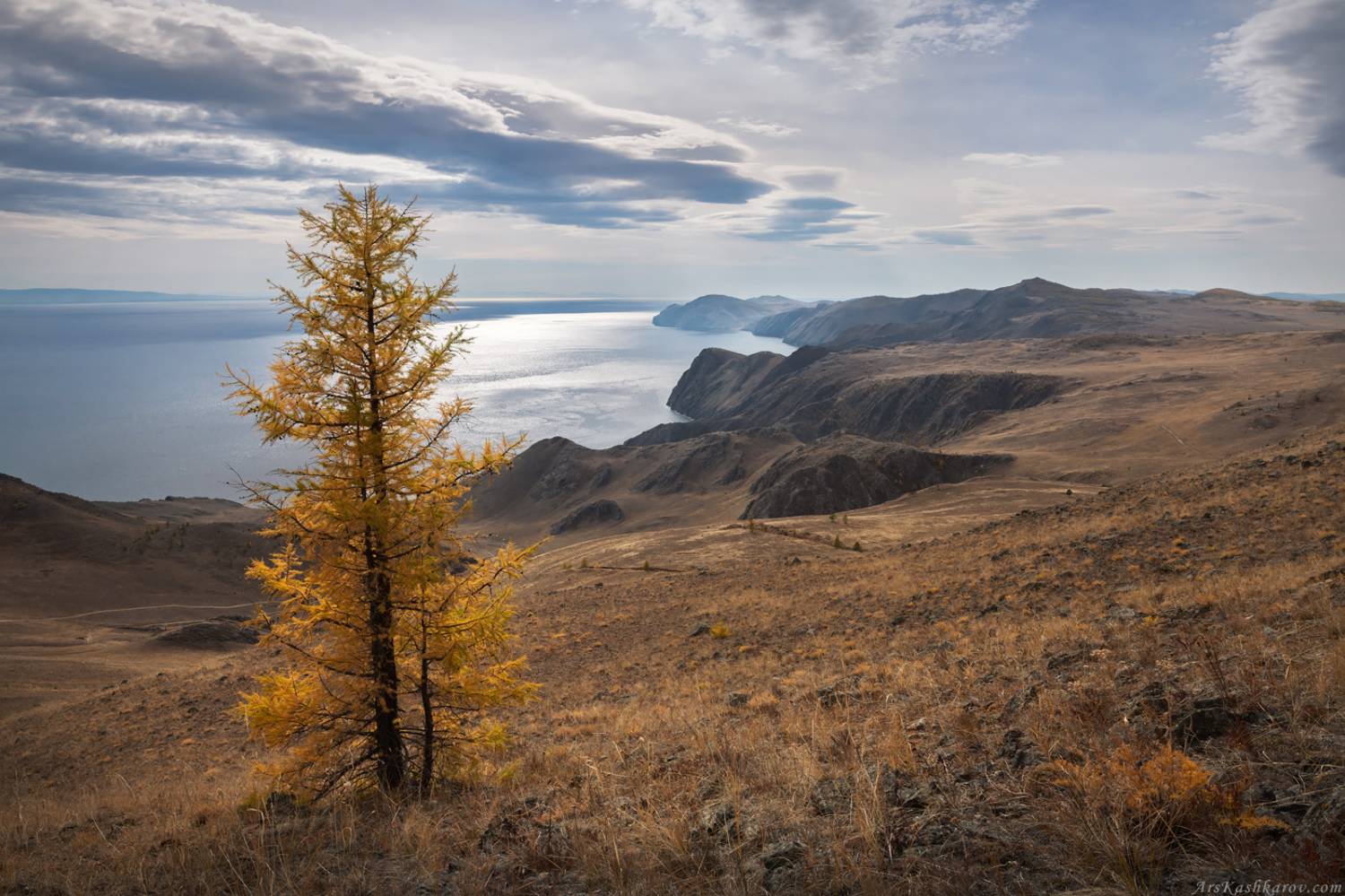 байкал, тажераны, ольхон, иркутская область, берег, обрыв, прибайкальский национальный парк, лиственница, золотая осень, Арсений Кашкаров
