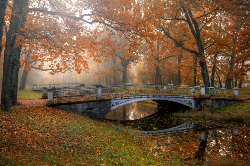 в осеннем парке... фото превью