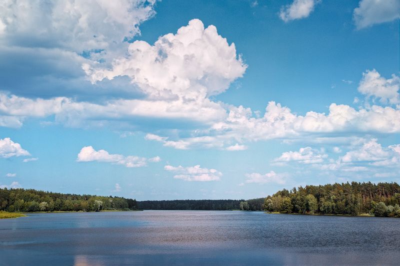 река, лес, небо У реки фото превью