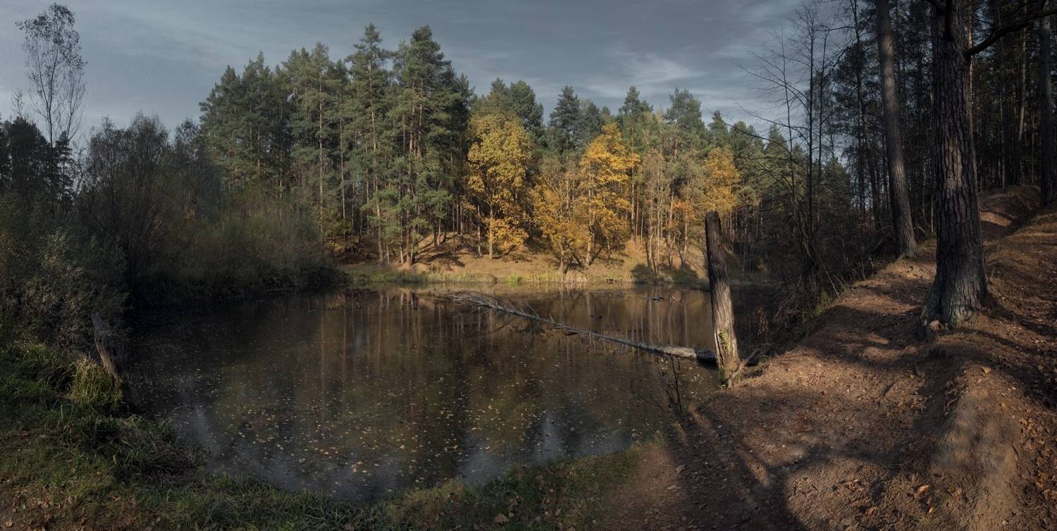 лес, свет, утро, природа, Баранов Олег