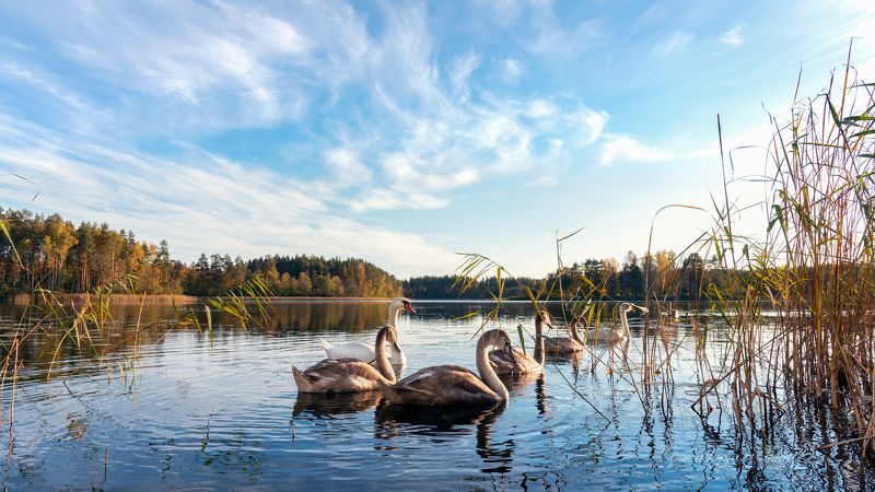 *** фото превью