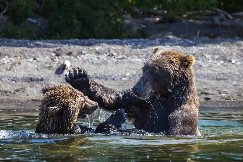 Оплеуха фото превью