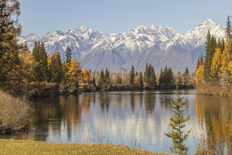 Ты неси меня река, за крутые берега... фото превью