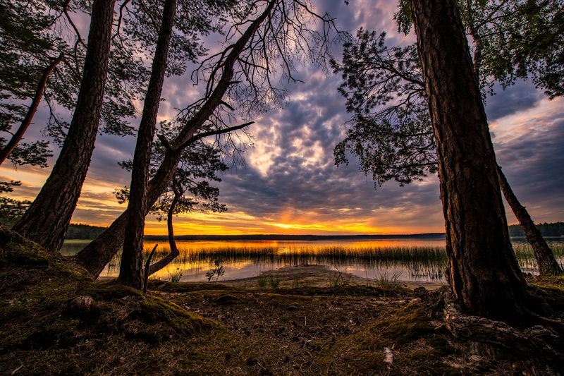 Где-то на озере фото превью