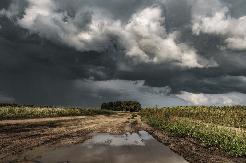 Перед грозой фото превью