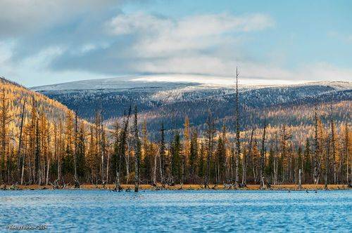 Зима, проба пера…