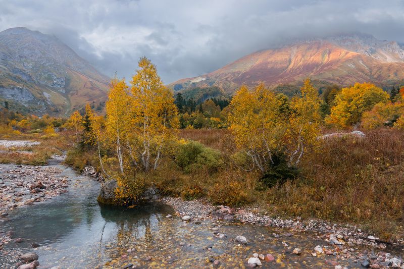 Золотая осень фото превью