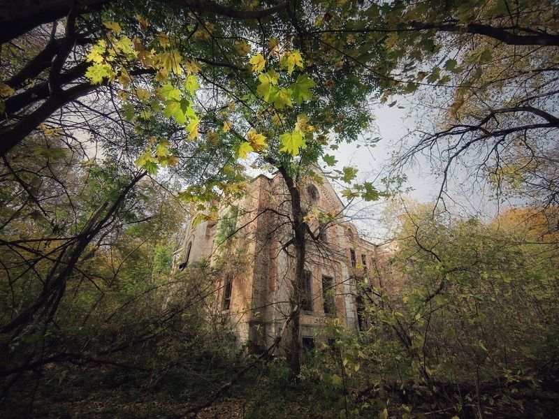 фото превью