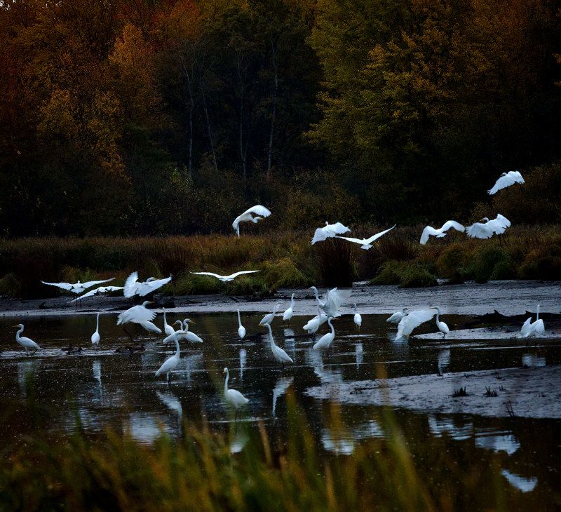 Октябрь. фото превью