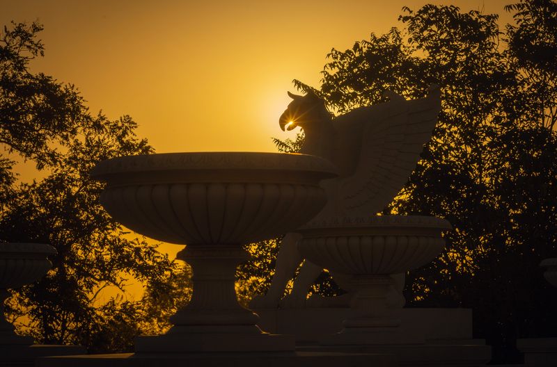 Бессмертный хранитель Боспорского солнца. фото превью