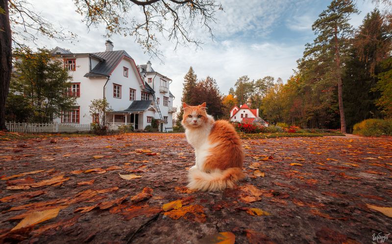 Поленово осенью фото превью