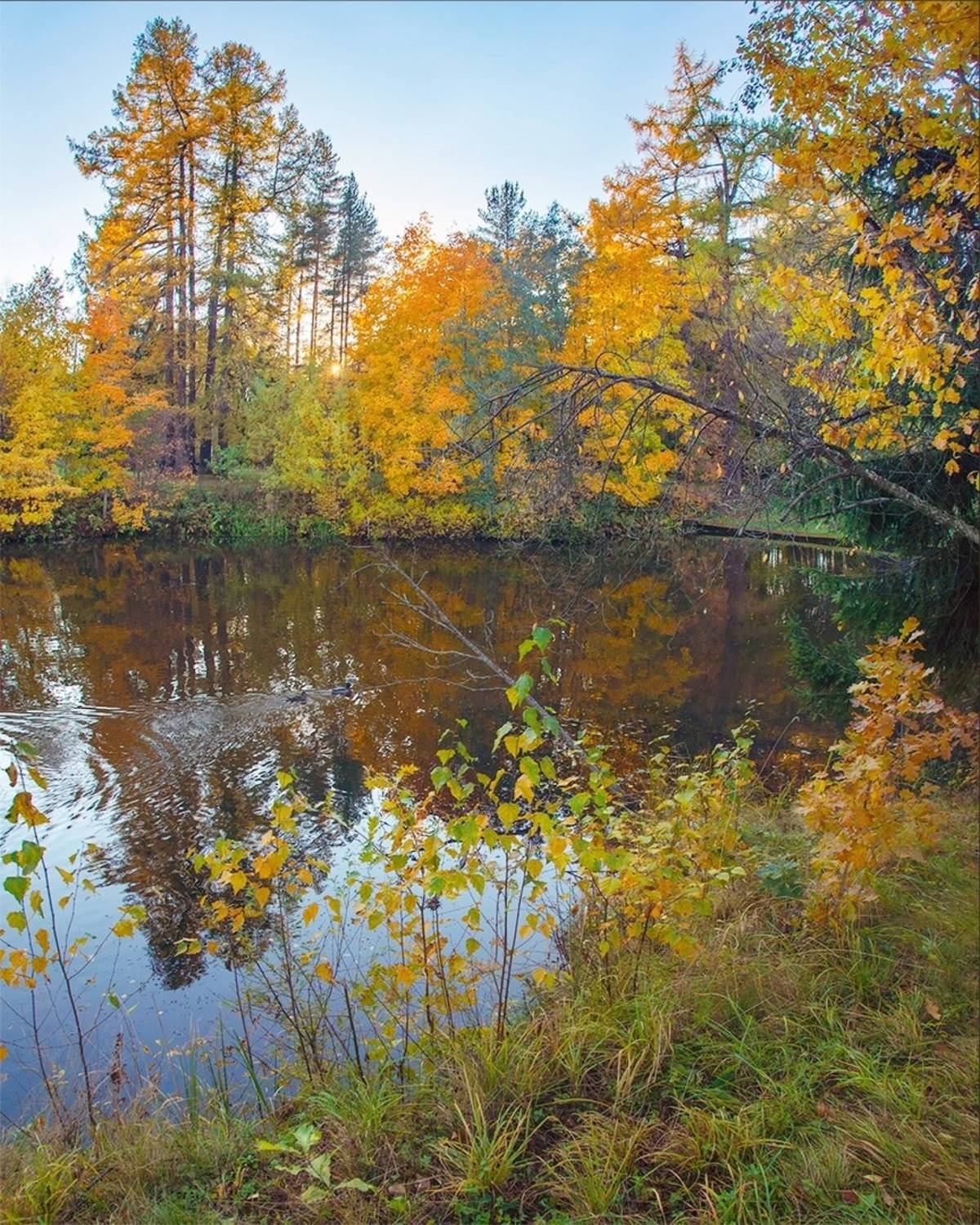 , Петр Косых