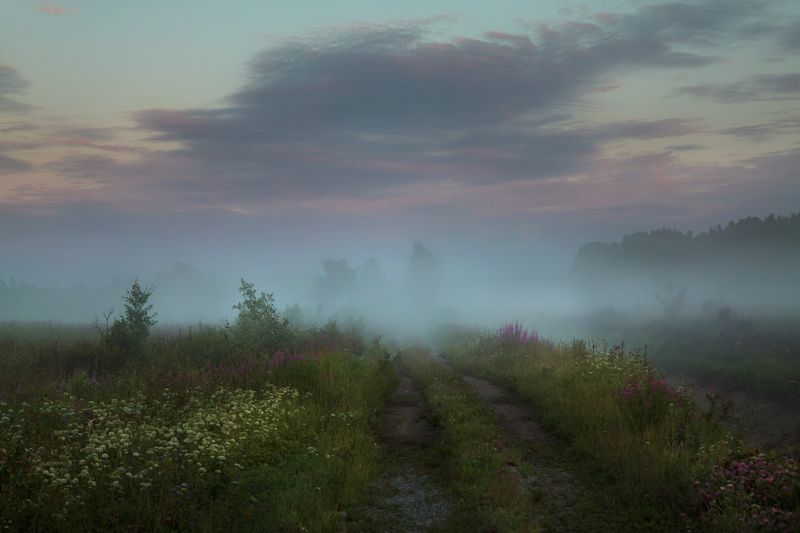 вечер туман закат облака поле луг дымка травы дорога колея Уведи меня в туманы фото превью