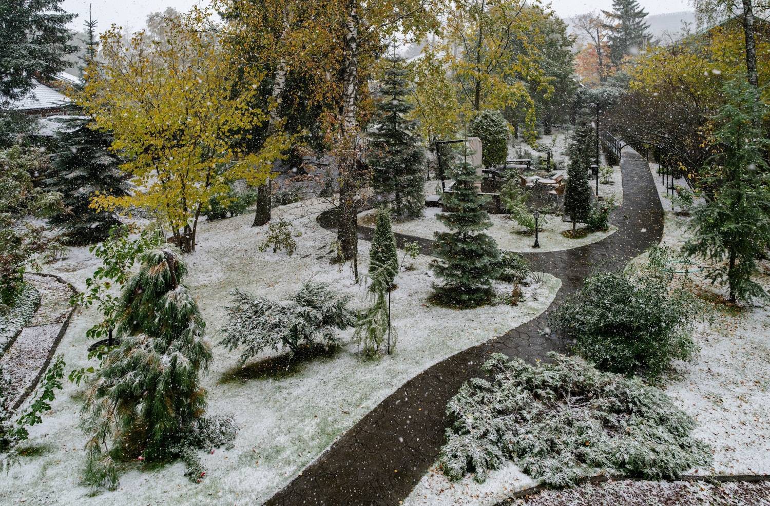 , Курлянцев Алексей