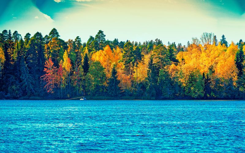 Ловись рыбка . фото превью