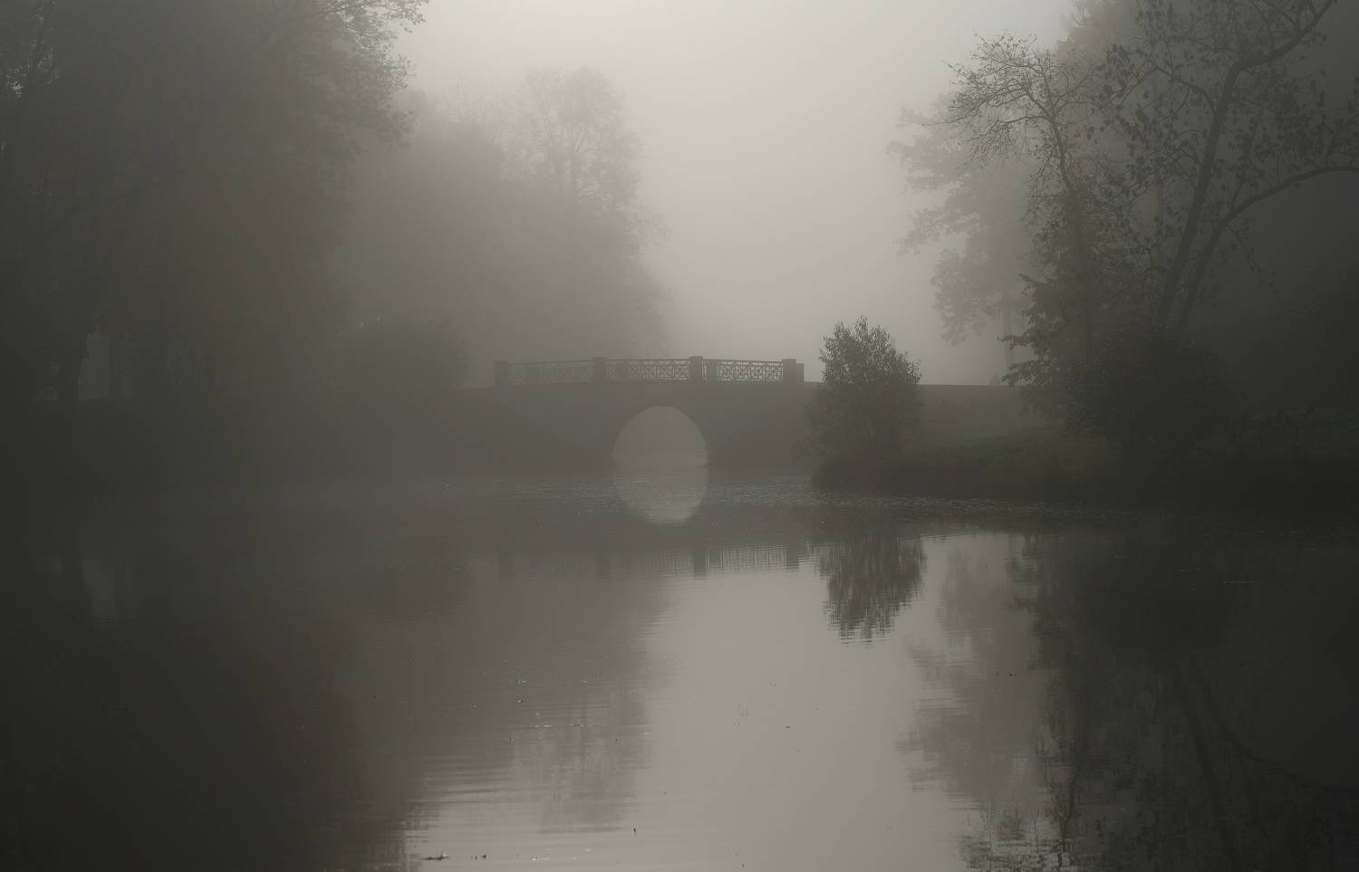 ,  Сергей Андреевич