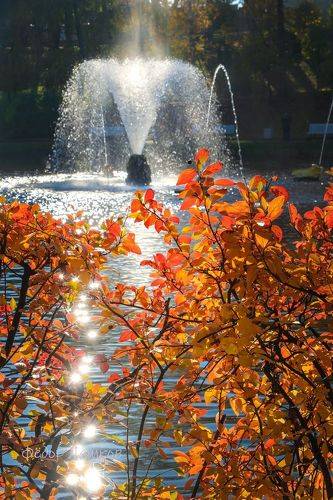 Осень в Петергофе