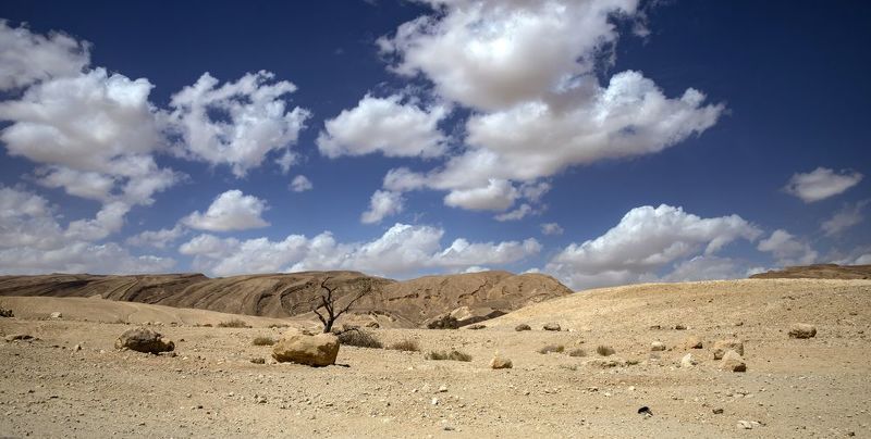 ***** фото превью