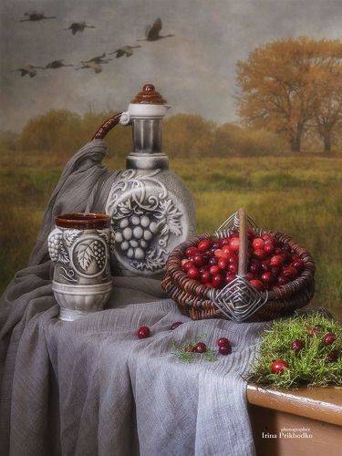 Журавины и журавли