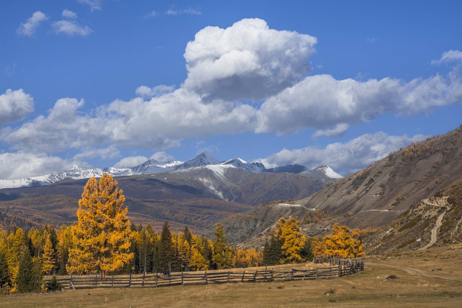 россия, горный алтай, осень, утро, Андрей Поляков