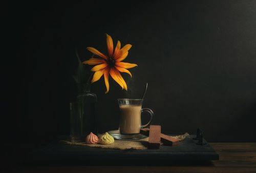 Кофе с молоком и рудбекия..