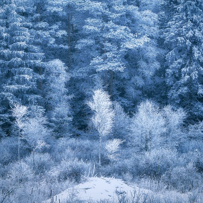 *** фото превью