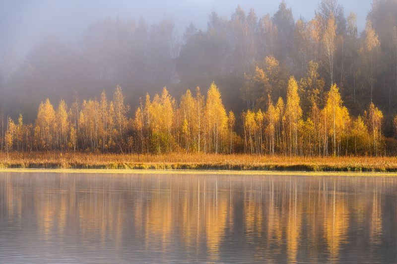 псков, пейзаж, Утро на Городищенском озеро фото превью