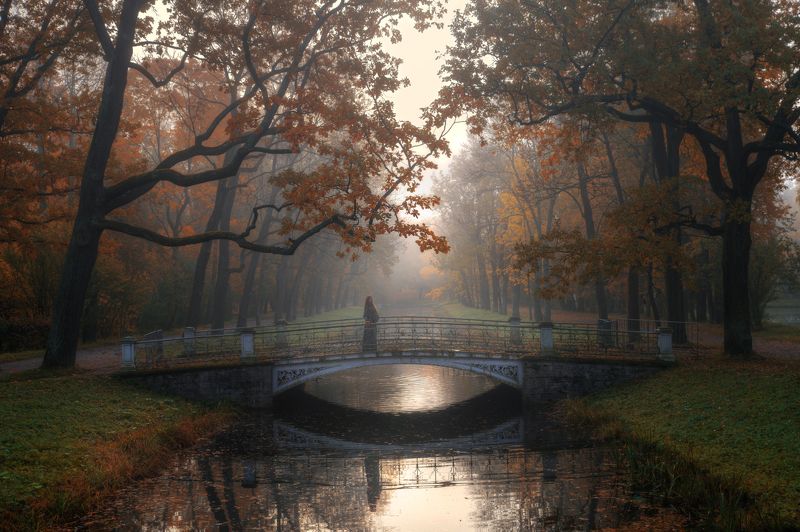 в осеннем парке... фото превью