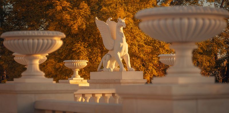 Грифоны Большой Митридатской лестницы. фото превью