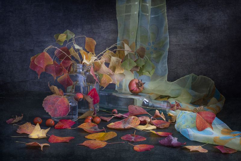 Осень фото превью