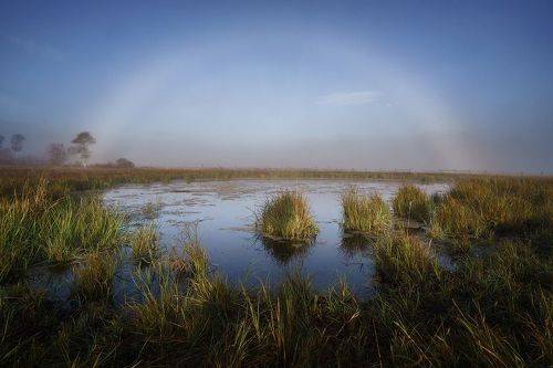 Туманная радуга