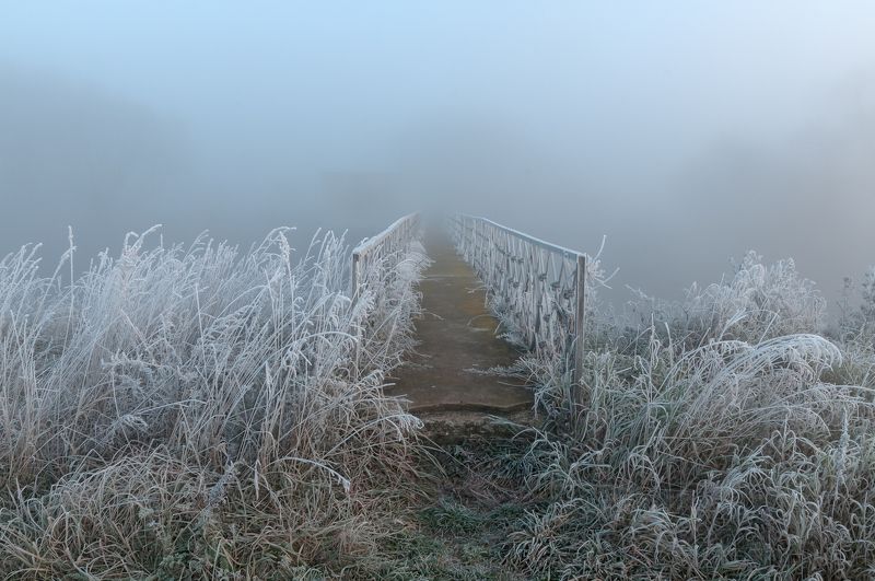 рассвет, осень, свислочь, пейзаж Морозное утро фото превью