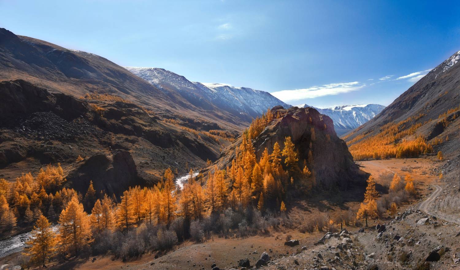 , Светлана Крат