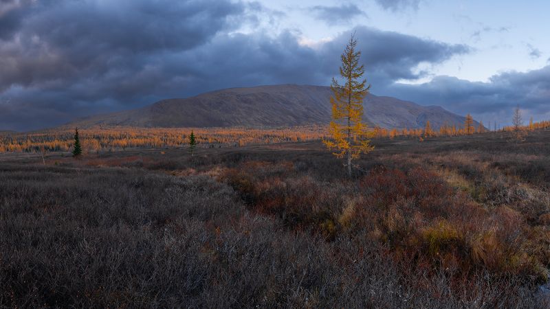 Пасмурный осенний вечер на Полярном Урале... фото превью