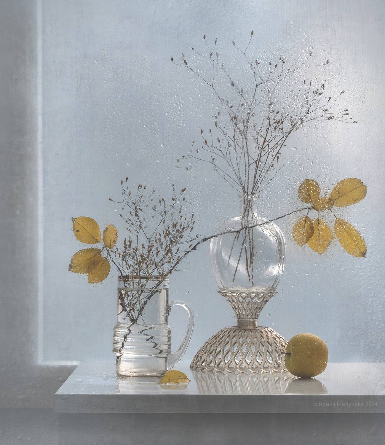 , Шипунова Ирина