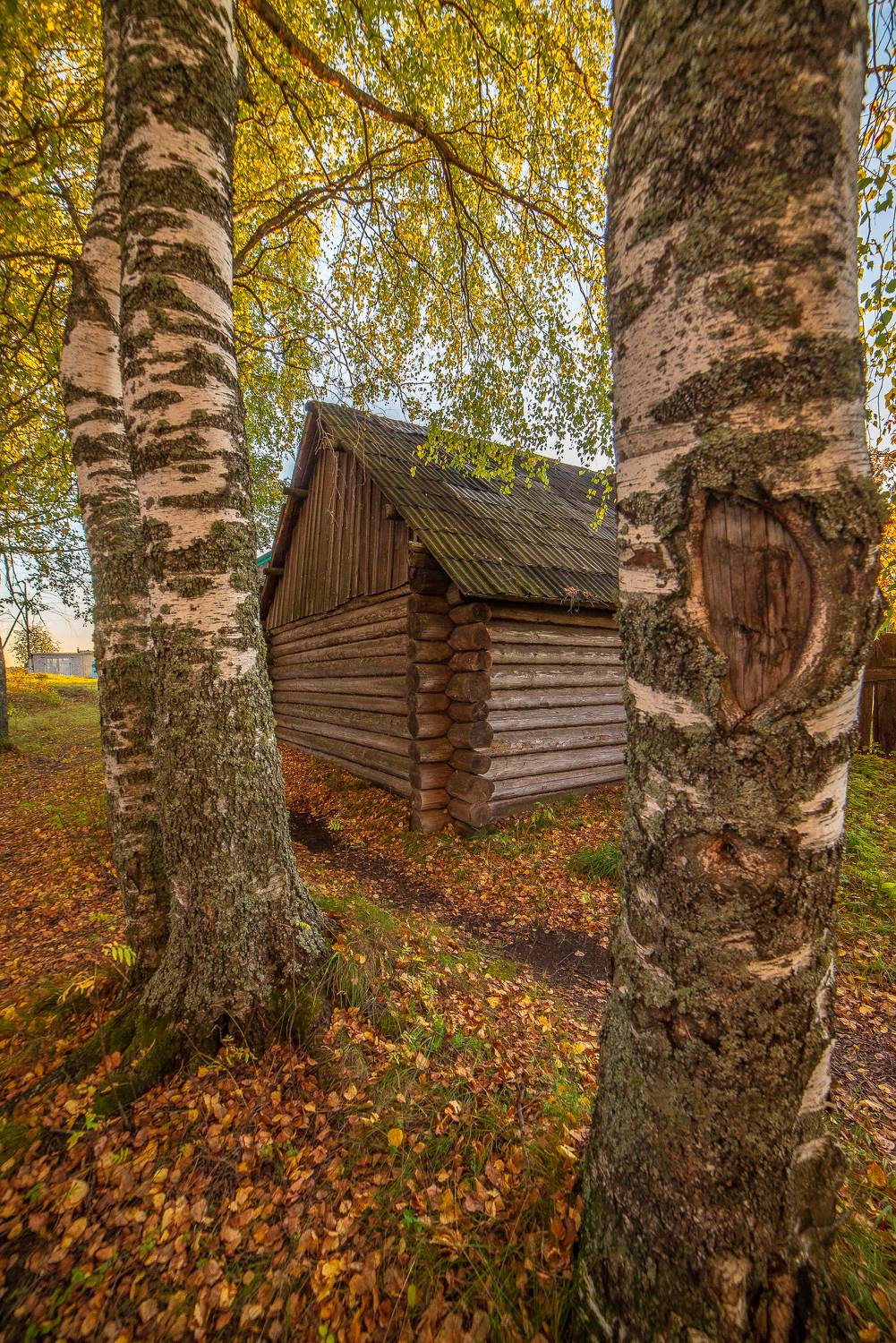 , Шуплецов Алексей