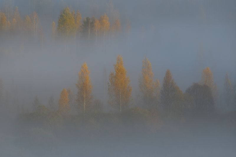псковская область, В осеннем наряде фото превью