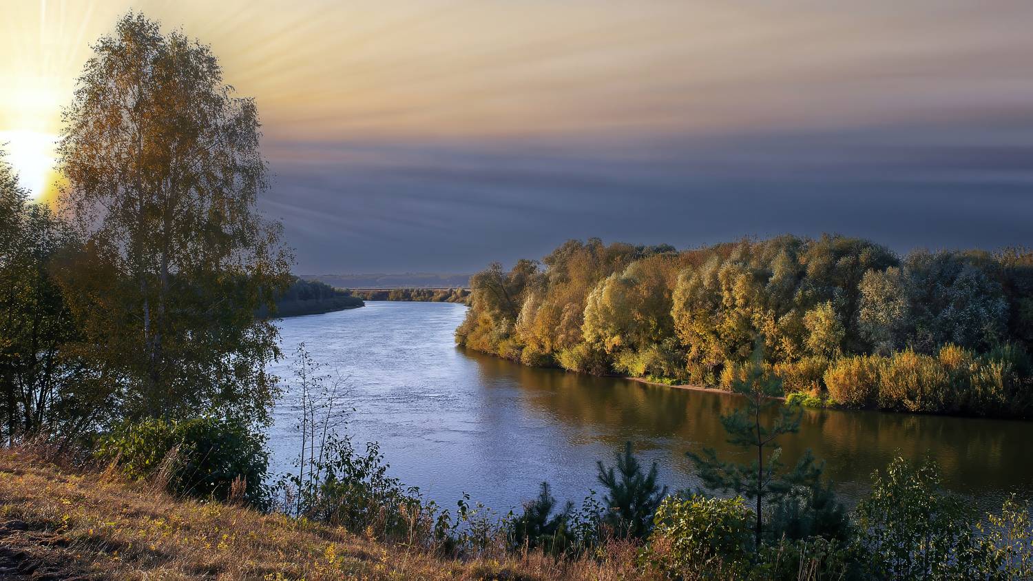 , Людмила Железнова