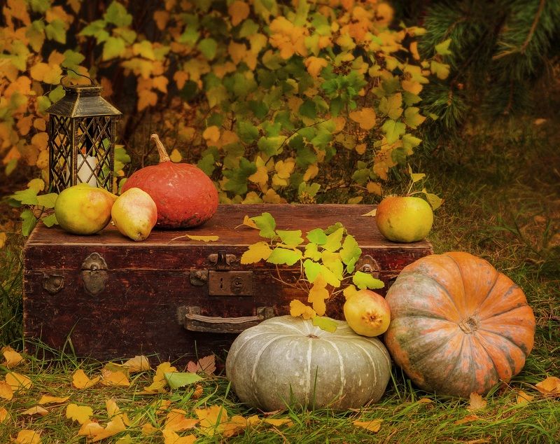 Осенний этюд. фото превью