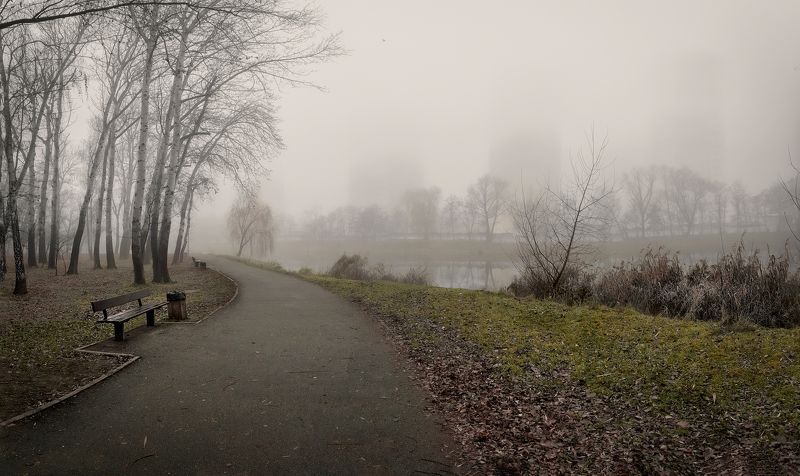 It\'s foggy фото превью