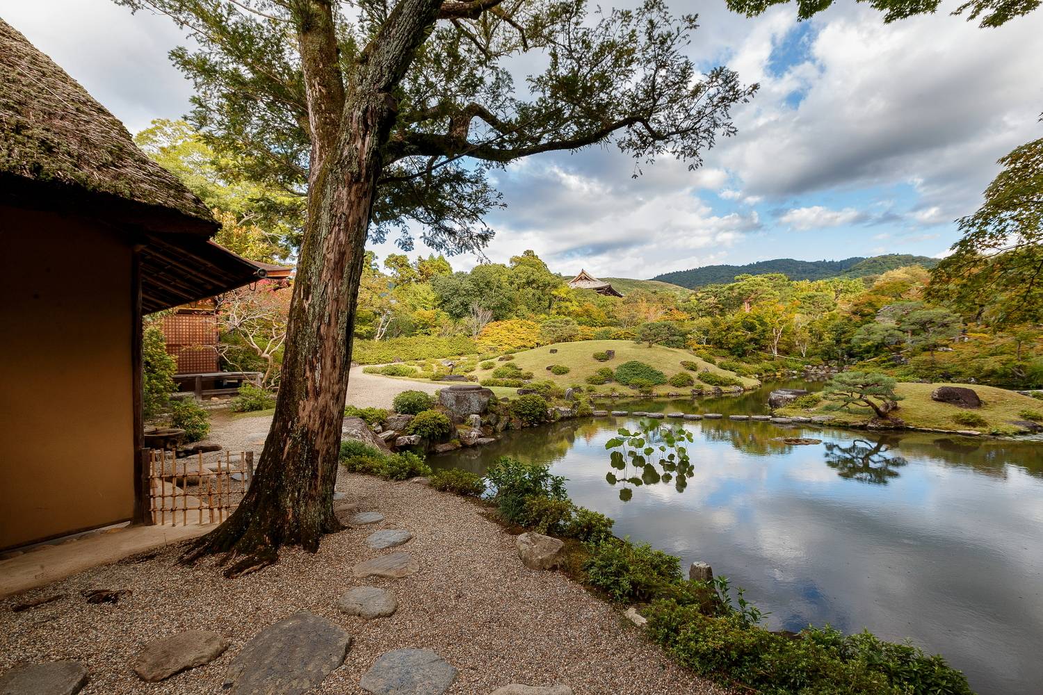 , Сандев Александър