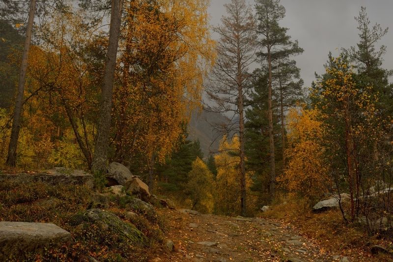 Осень в Узунколе фото превью