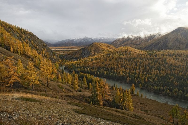 река Аргут фото превью