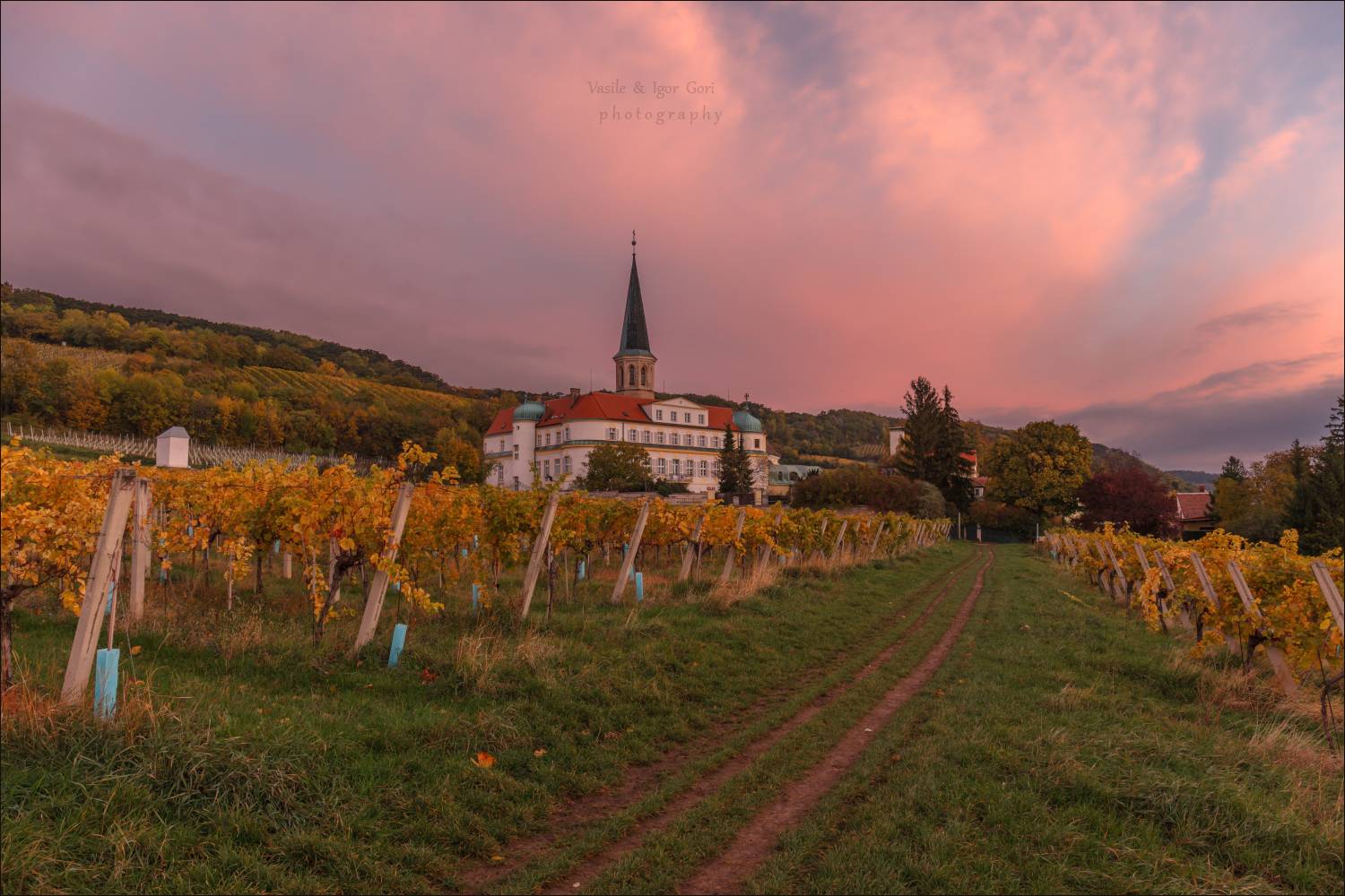 австрия,осень,аббатство,&ouml;sterreich,виноградники,morning,colors,rural,, Гори Василий