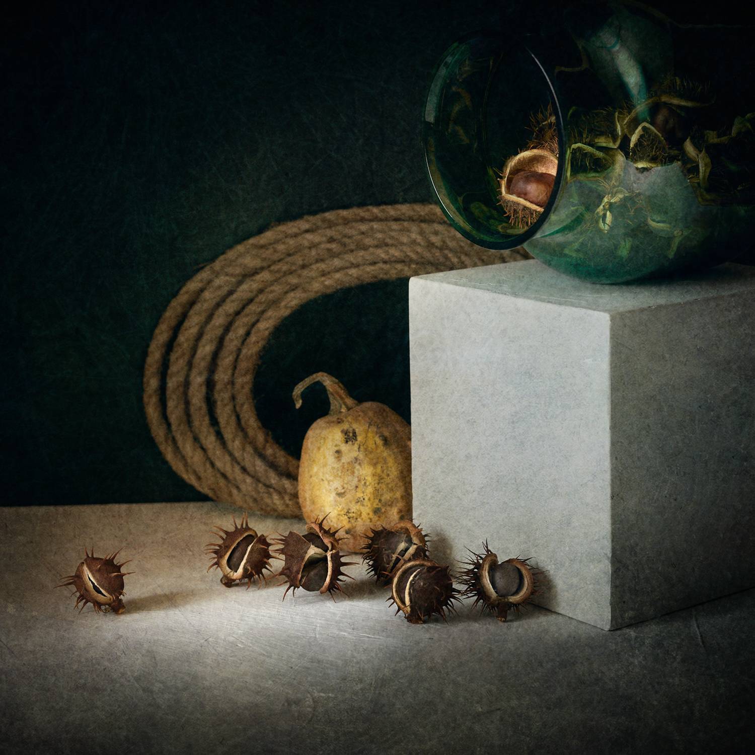 натюрморт, каштаны, Сергей Кот