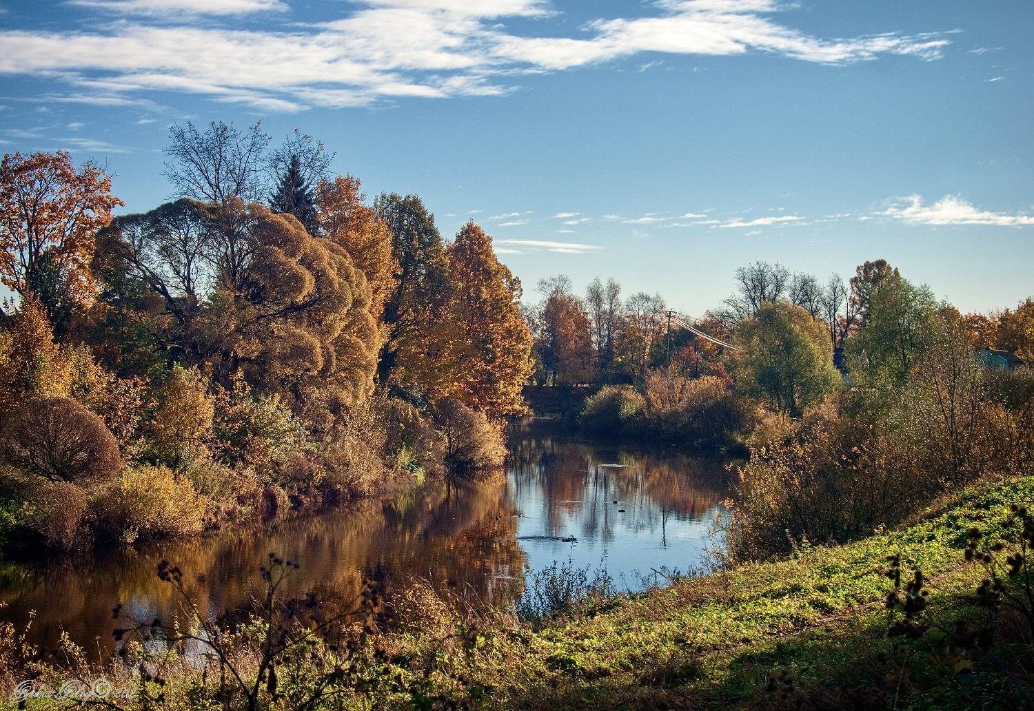 , Олег Орлов