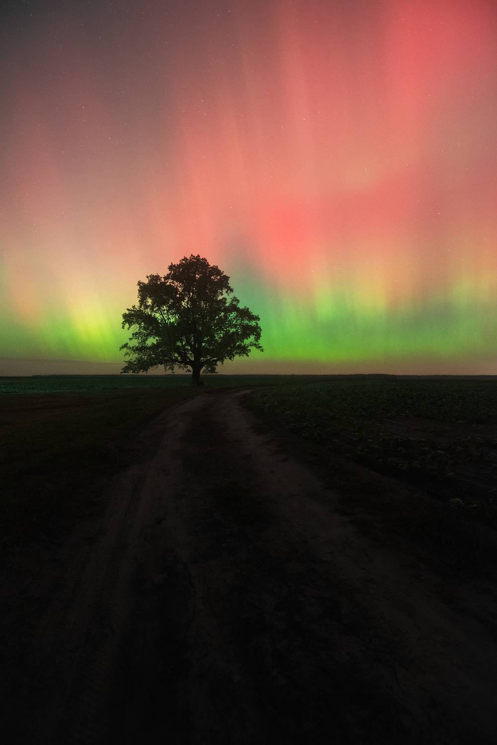 , Захаров Дмитрий