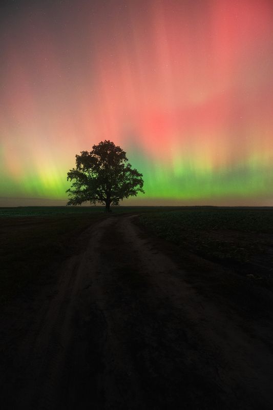 Октябрьской ночью фото превью