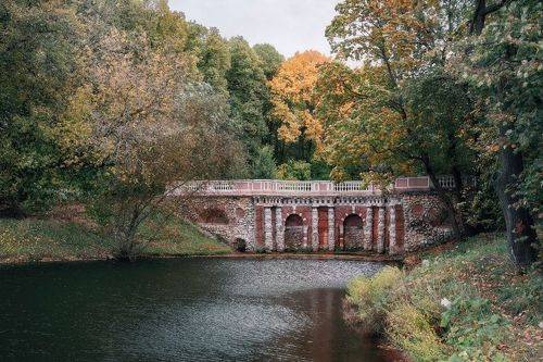 В осеннем парке
